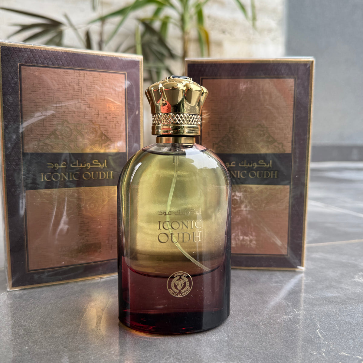 Lattafa Ameer Al Oudh Intense Oud Eau de Parfum – Unique Union