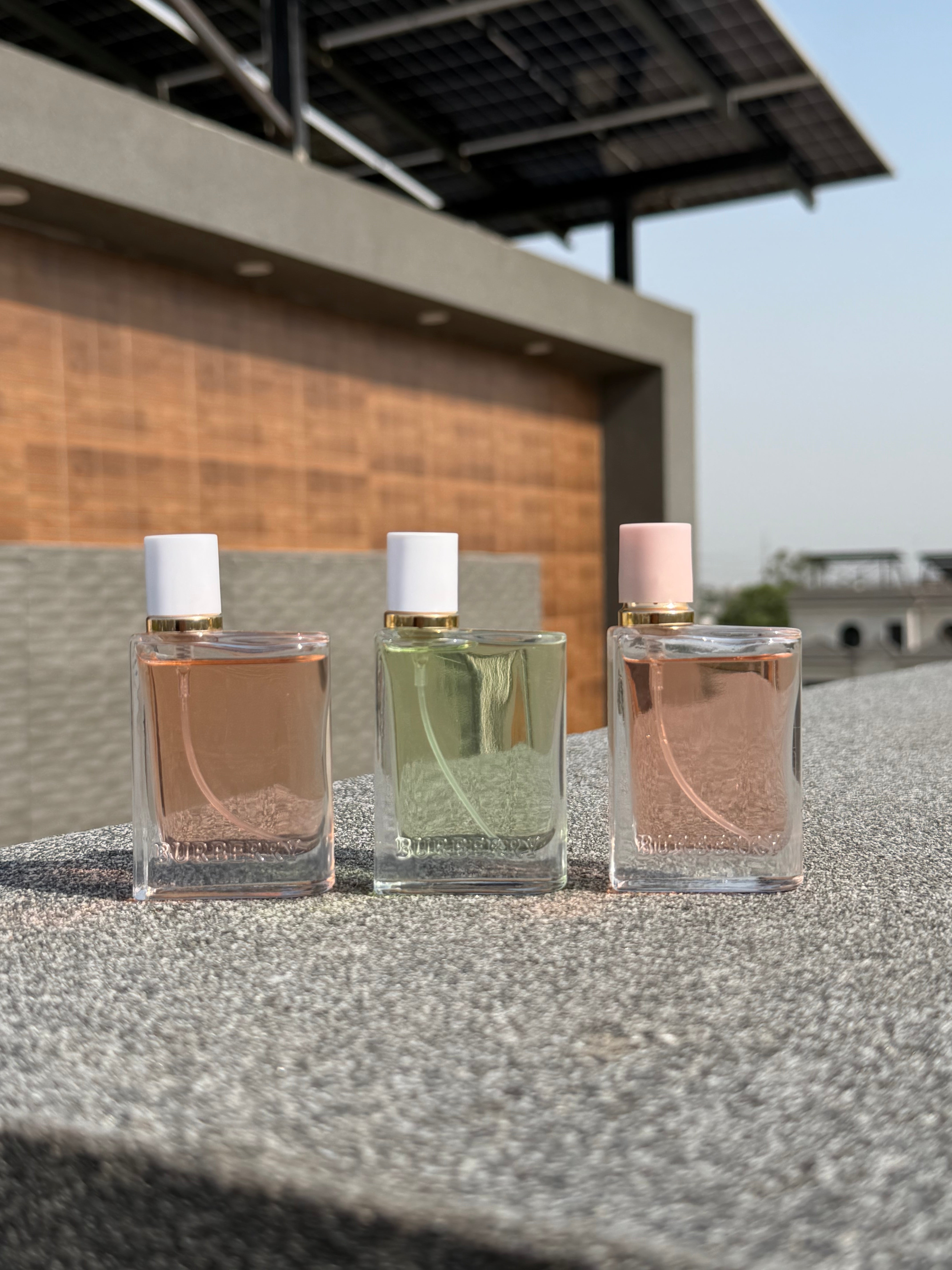 BURBERRY perfume set (london dream , blossom & eau de toilette )